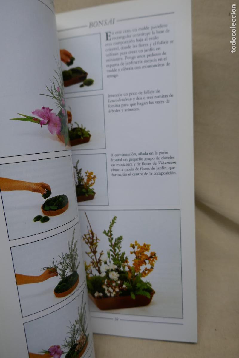 Libros de segunda mano: COMPOSICIONES FLORALES I y II / VAN HALL: FOLIO, (GU&Iacute;AS CREATIVAS). - Foto 10