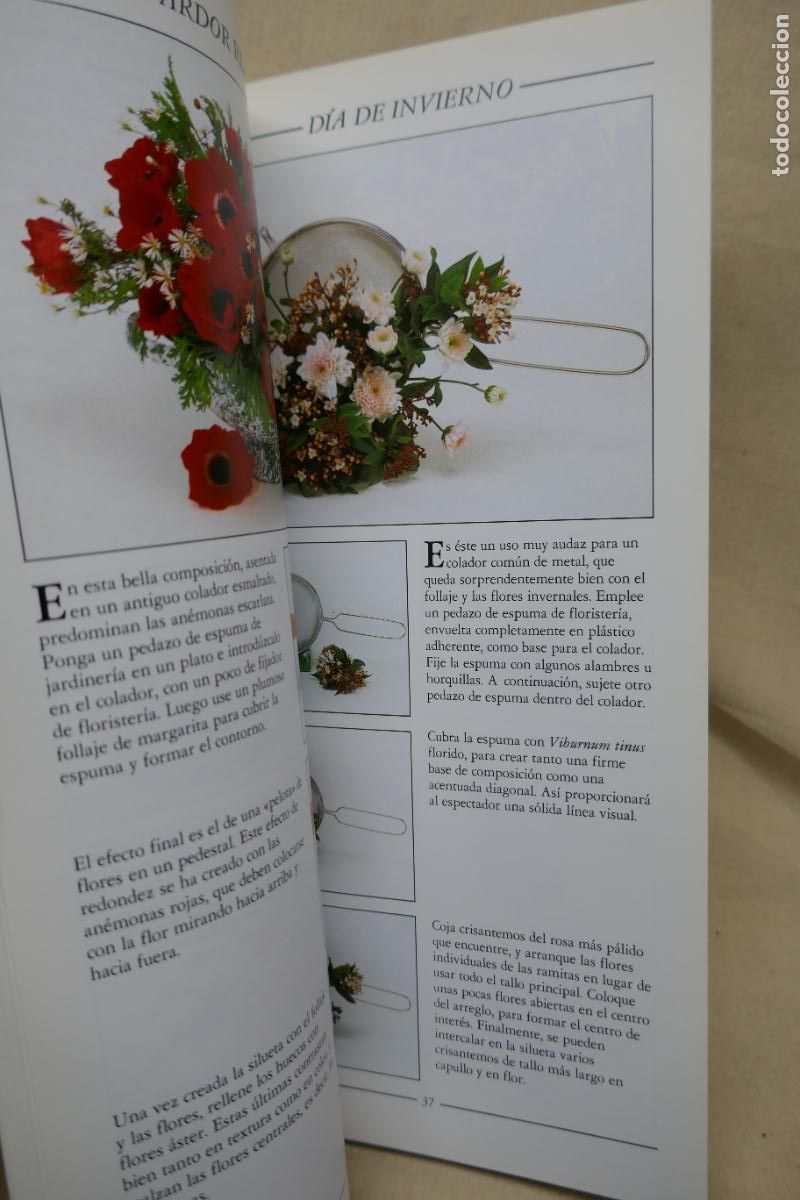 Libros de segunda mano: COMPOSICIONES FLORALES I y II / VAN HALL: FOLIO, (GU&Iacute;AS CREATIVAS). - Foto 11