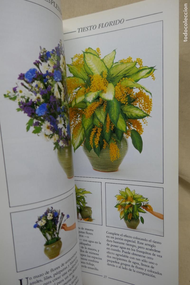 Libros de segunda mano: COMPOSICIONES FLORALES I y II / VAN HALL: FOLIO, (GU&Iacute;AS CREATIVAS). - Foto 13