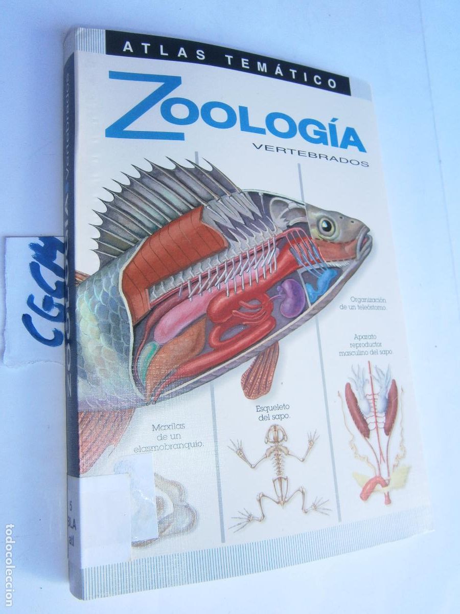 Libros de segunda mano: ATLAS TEMATICO - ZOOLOGIA - Foto 1