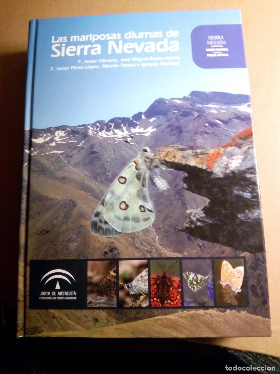 Libros de segunda mano: LAS MARIPOSAS DIURNAS DE SIERRA NEVADA / VV.AA - Foto 1