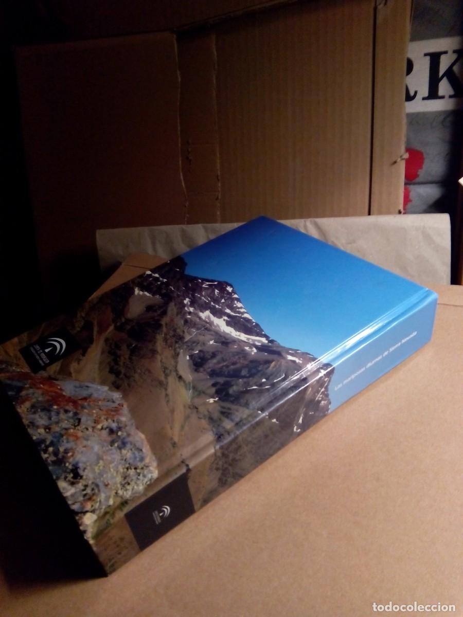 Libros de segunda mano: LAS MARIPOSAS DIURNAS DE SIERRA NEVADA / VV.AA - Foto 2