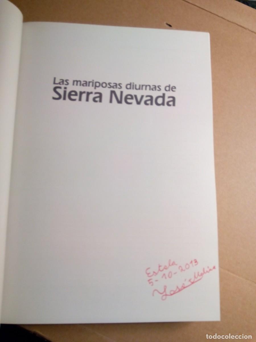 Libros de segunda mano: LAS MARIPOSAS DIURNAS DE SIERRA NEVADA / VV.AA - Foto 4