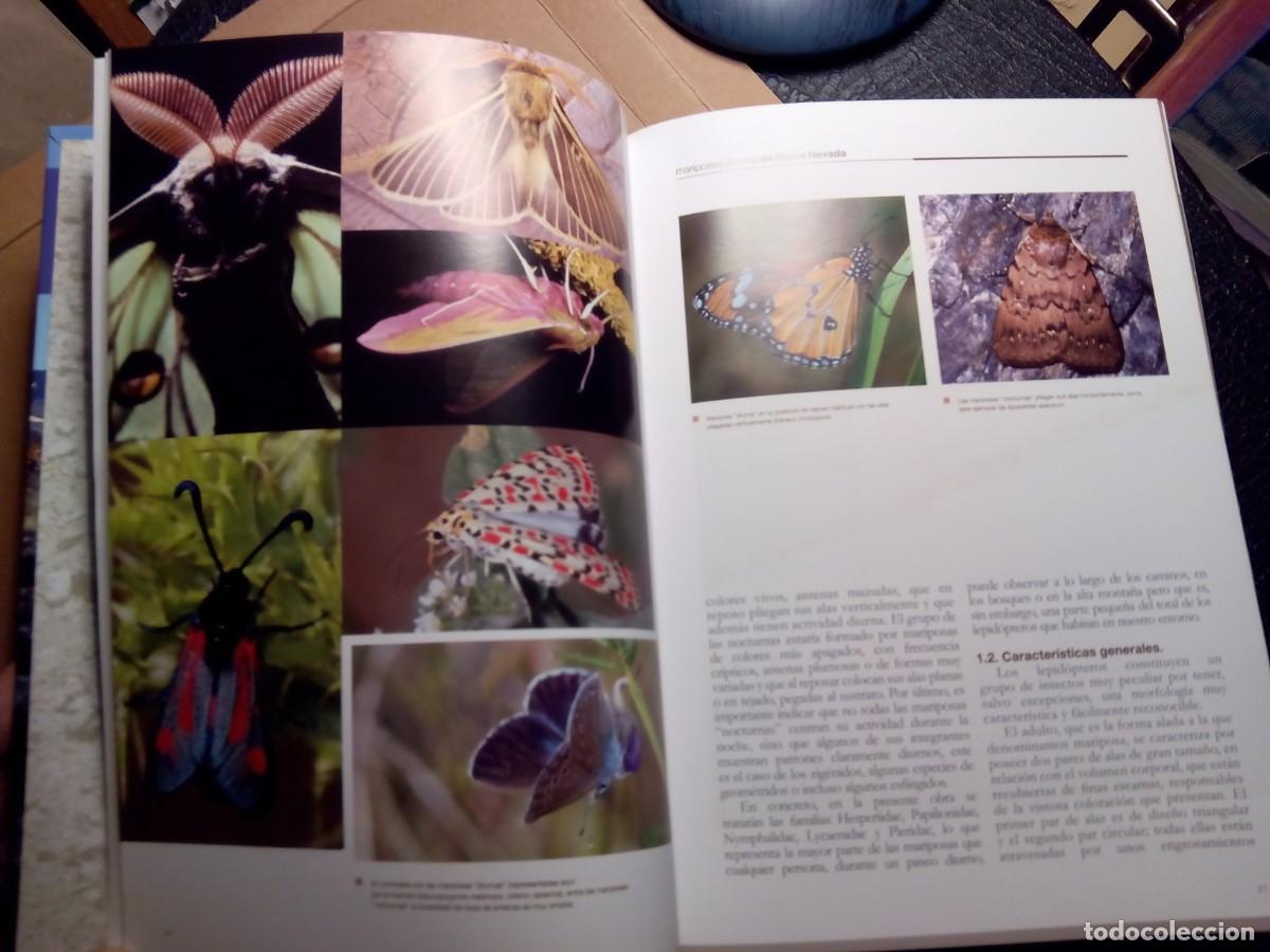 Libros de segunda mano: LAS MARIPOSAS DIURNAS DE SIERRA NEVADA / VV.AA - Foto 6