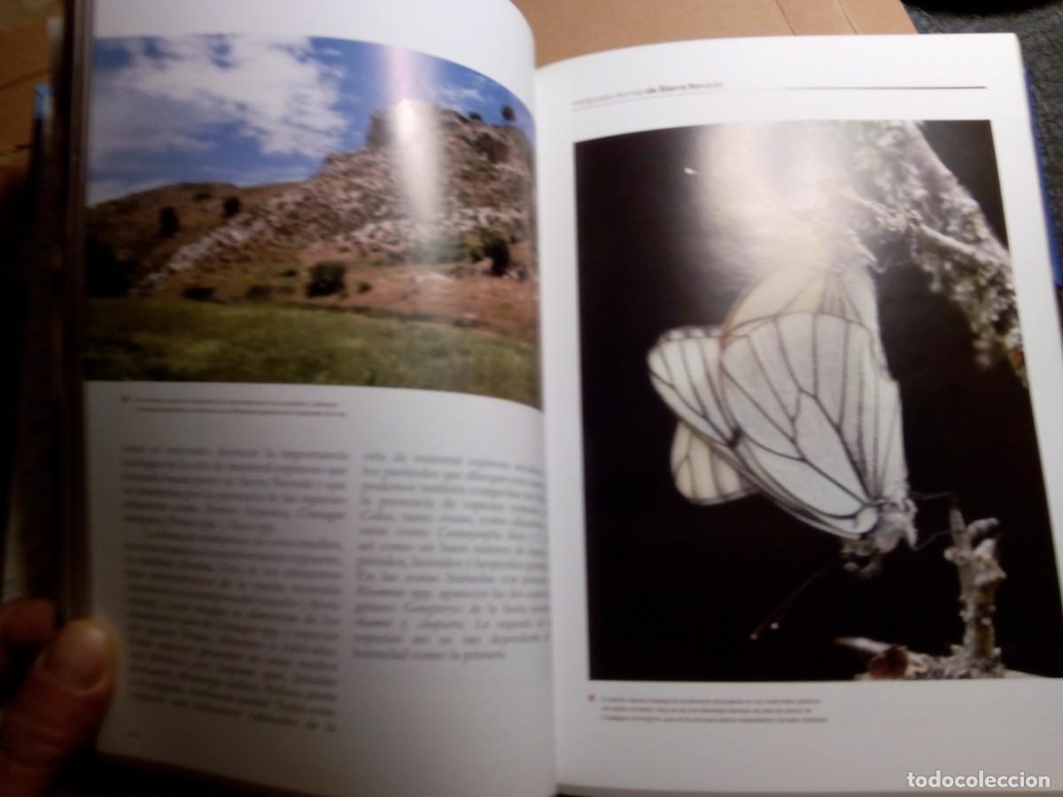 Libros de segunda mano: LAS MARIPOSAS DIURNAS DE SIERRA NEVADA / VV.AA - Foto 7