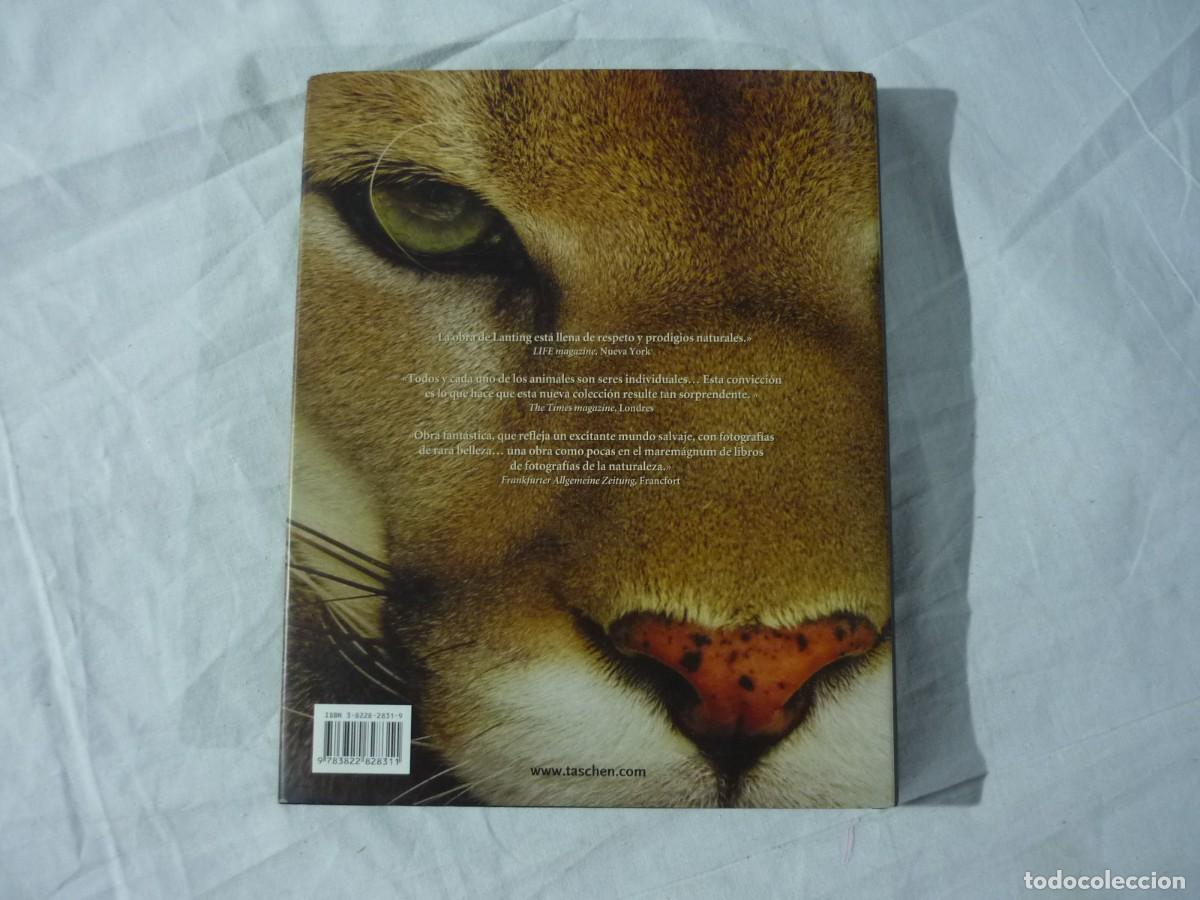 Libros de segunda mano: Frente a frente, Frans Lanting, Taschen - Foto 2