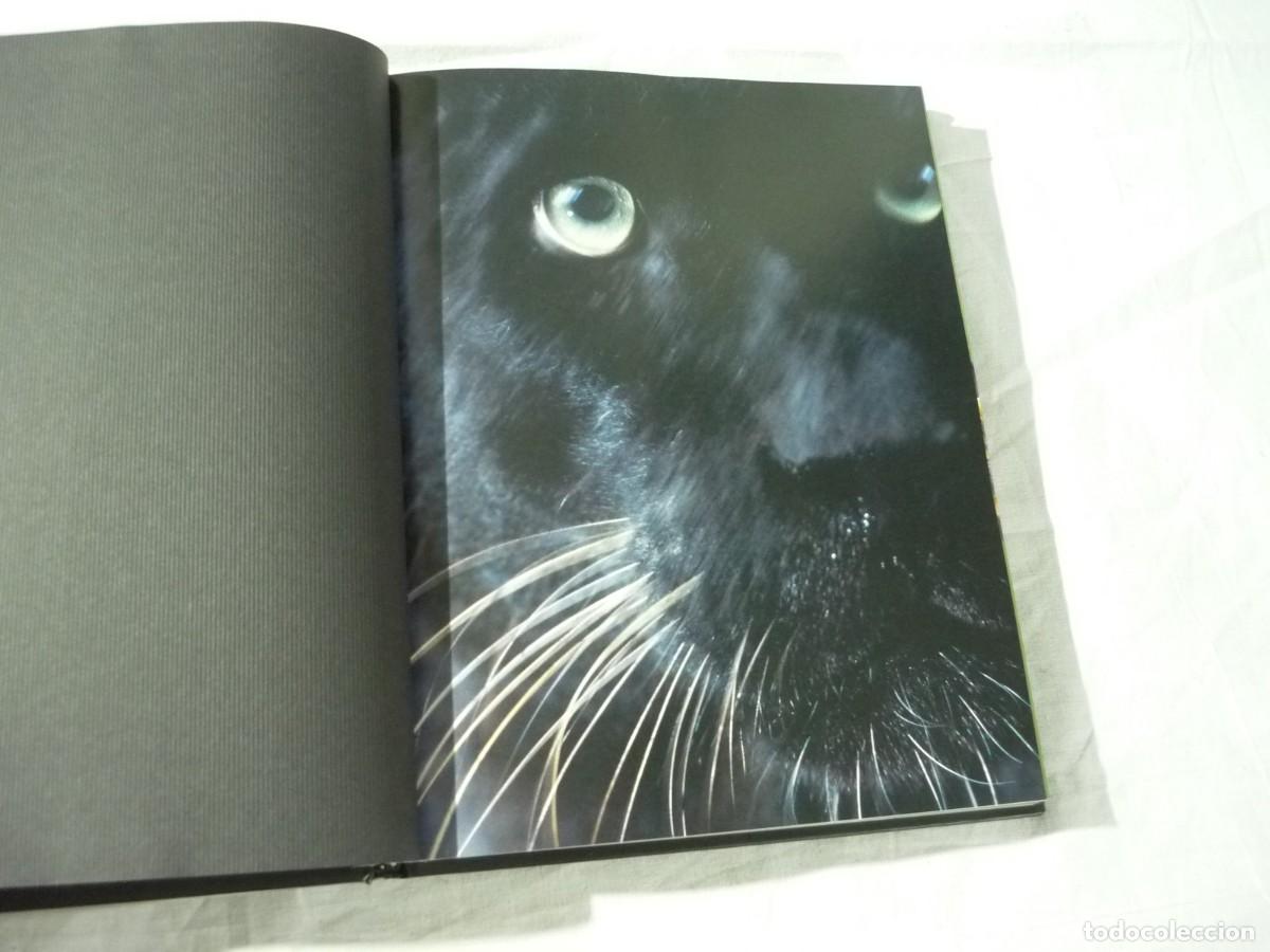 Libros de segunda mano: Frente a frente, Frans Lanting, Taschen - Foto 6