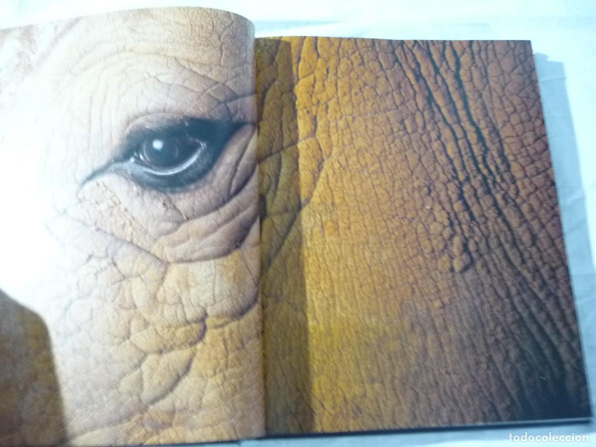 Libros de segunda mano: Frente a frente, Frans Lanting, Taschen - Foto 7