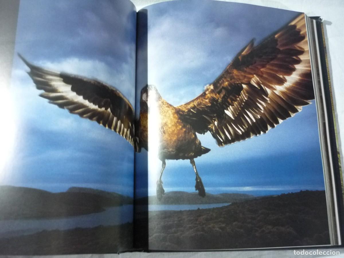 Libros de segunda mano: Frente a frente, Frans Lanting, Taschen - Foto 8