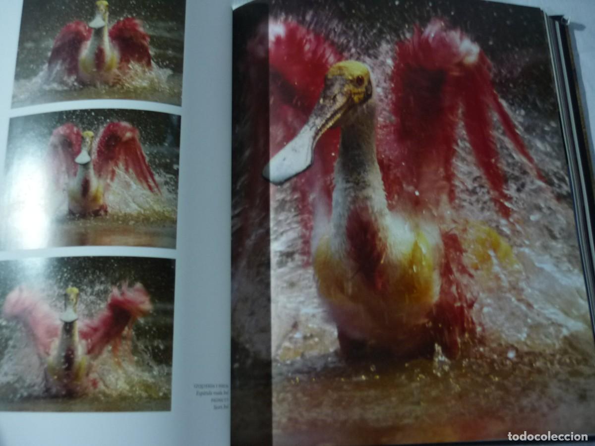 Libros de segunda mano: Frente a frente, Frans Lanting, Taschen - Foto 9