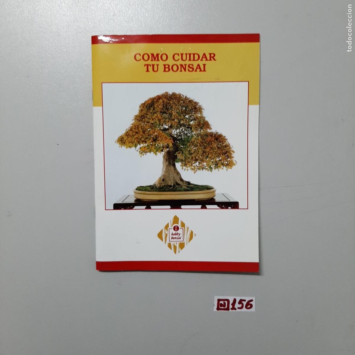 Libros de segunda mano: Libro: c&oacute;mo cuidar tu bons&aacute;i - Foto 1