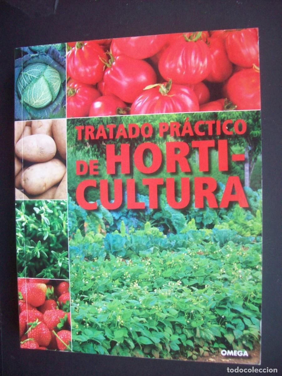 Libros de segunda mano: TRATADO PR&Aacute;CTICO DE HORTICULTURA . OMEGA - Foto 1