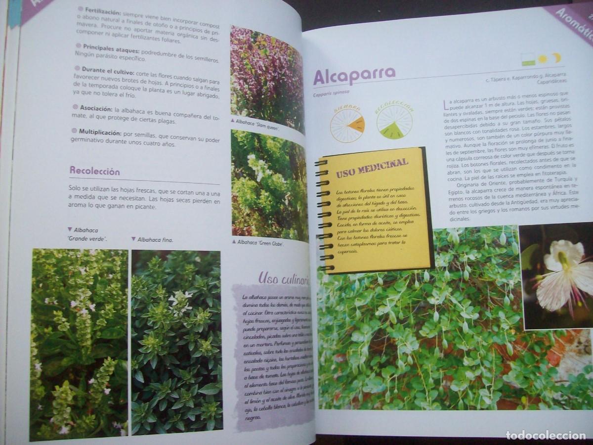 Libros de segunda mano: TRATADO PR&Aacute;CTICO DE HORTICULTURA . OMEGA - Foto 3