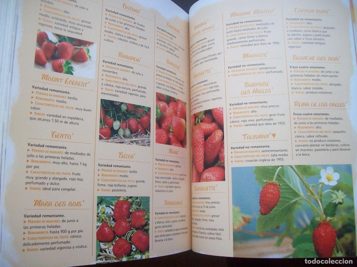 Libros de segunda mano: TRATADO PR&Aacute;CTICO DE HORTICULTURA . OMEGA - Foto 4