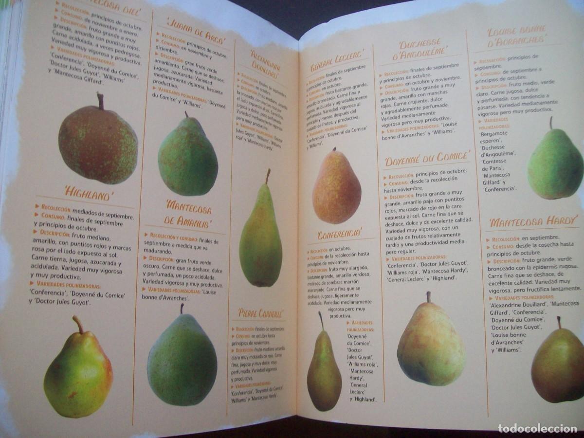 Libros de segunda mano: TRATADO PR&Aacute;CTICO DE HORTICULTURA . OMEGA - Foto 5