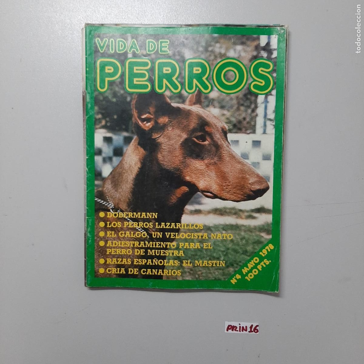Libros de segunda mano: Libro: vida de perros - Foto 1