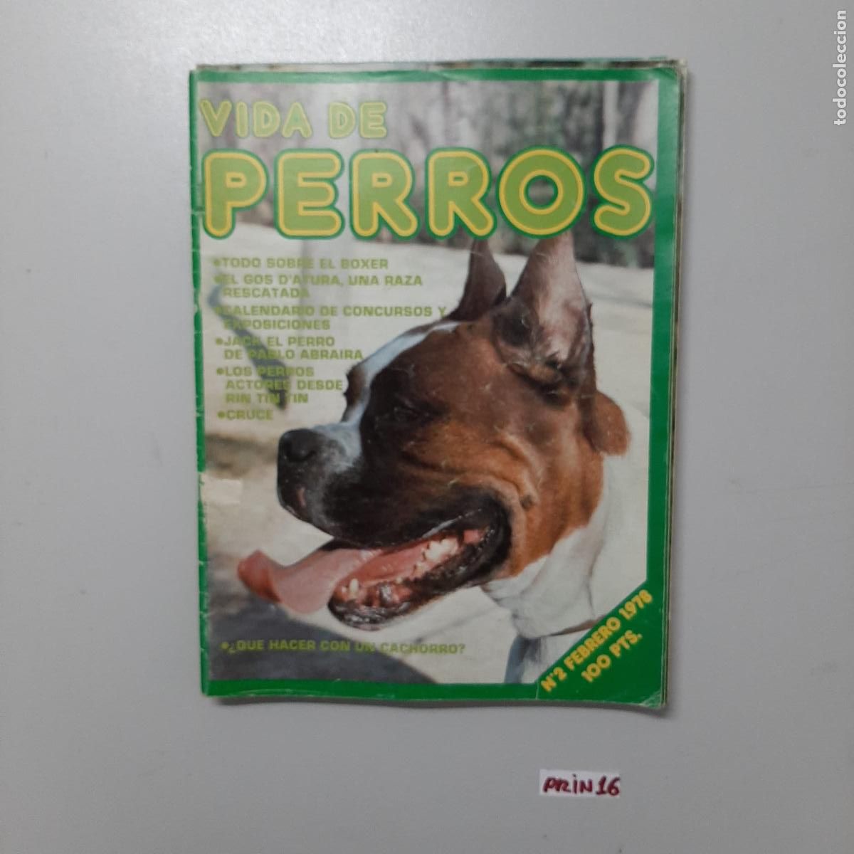 Libros de segunda mano: Libro: vida de perros - Foto 1