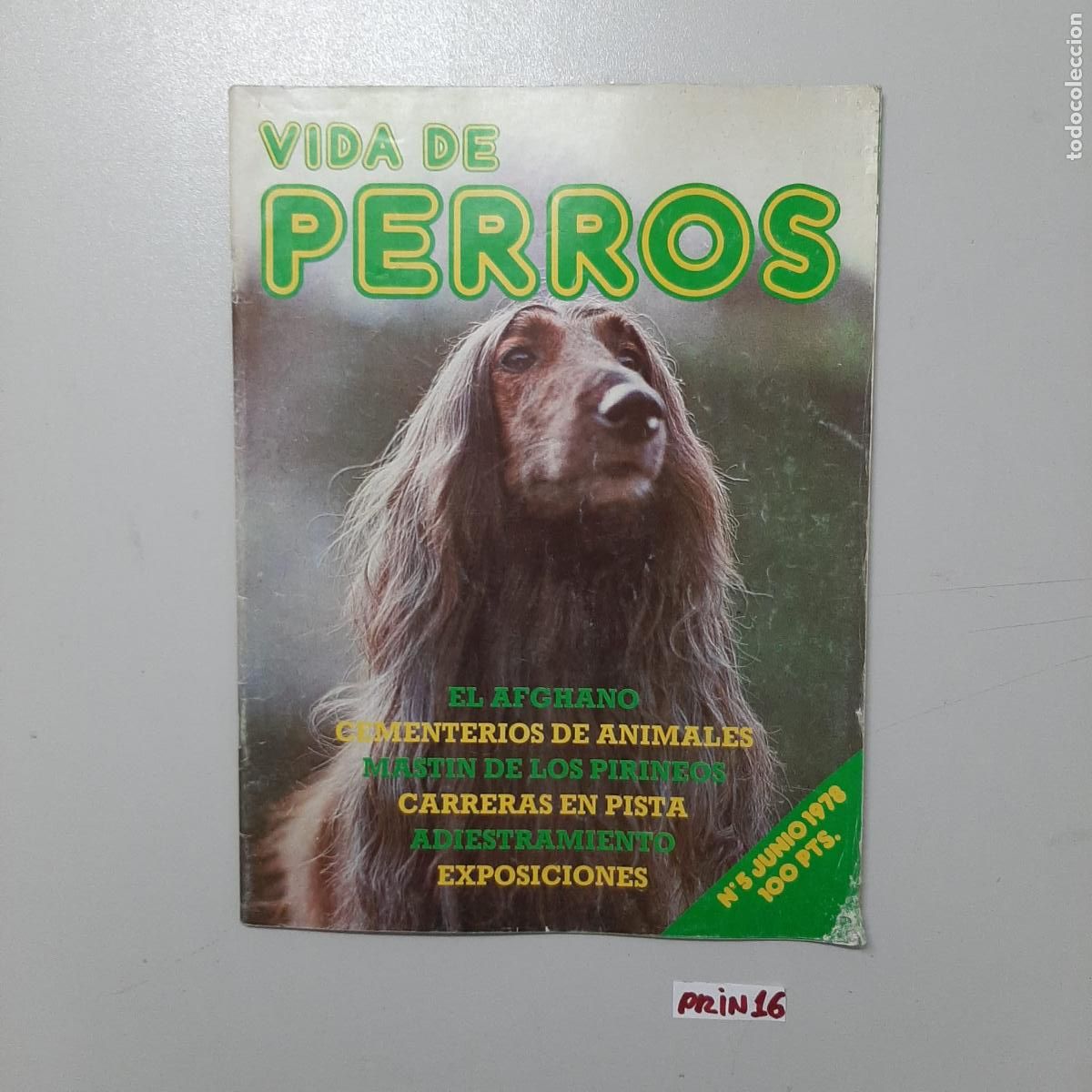 Libros de segunda mano: Libro: vida de perros - Foto 1