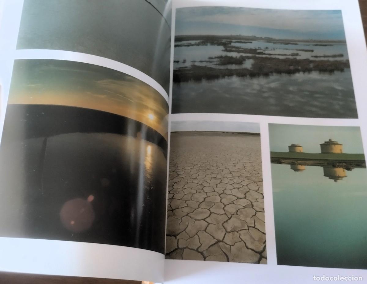 Libros de segunda mano: Joaqu&iacute;n Alegre, Salinas de Villaf&aacute;fila, el &uacute;ltimo refugio, Edilesa, 17, 1994, - Foto 3