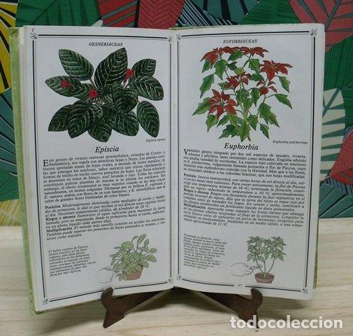 Libros de segunda mano: Libro Plantas de Interior - Kenneth A. Beckett - Foto 3