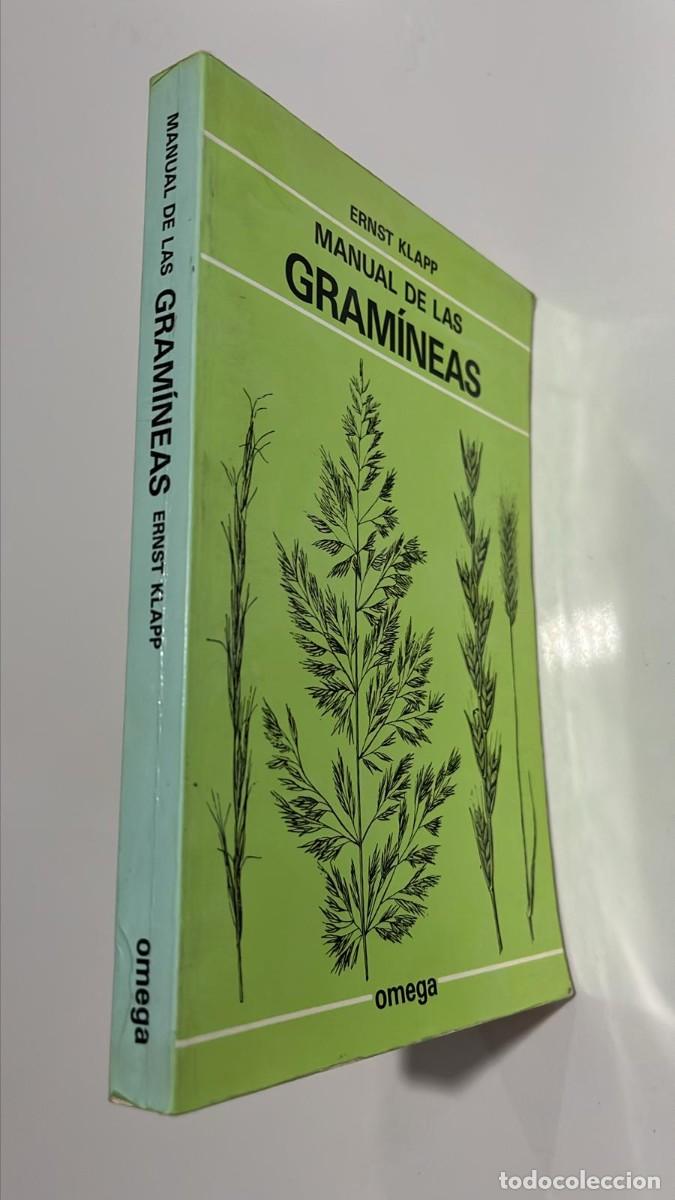 Libros de segunda mano: Manual de gram&iacute;neas. Ernst Klapp. 1983 - Foto 2