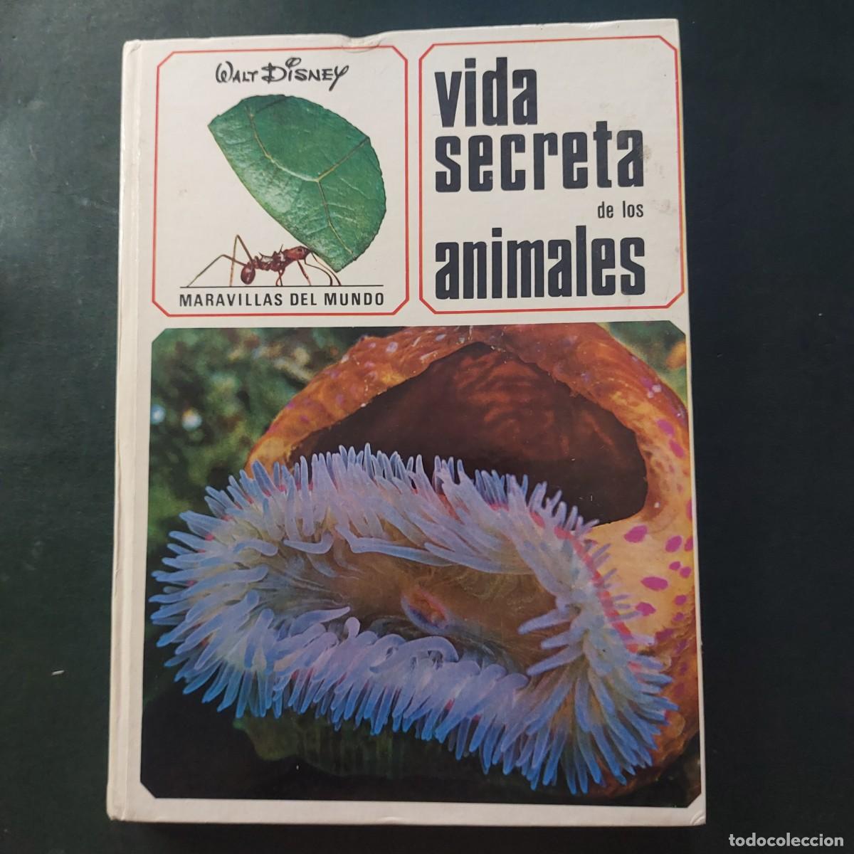 Libros de segunda mano: Vida secreta de los animales - Walt Disney - 1968 - Foto 1