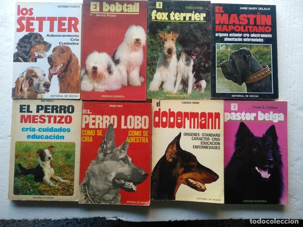 Libros de segunda mano: lote 8 libros razas de perros, LOS SETTER, EL BOBTAIL, EL FOX TERRIER , &uacute;ltima ... - Foto 1