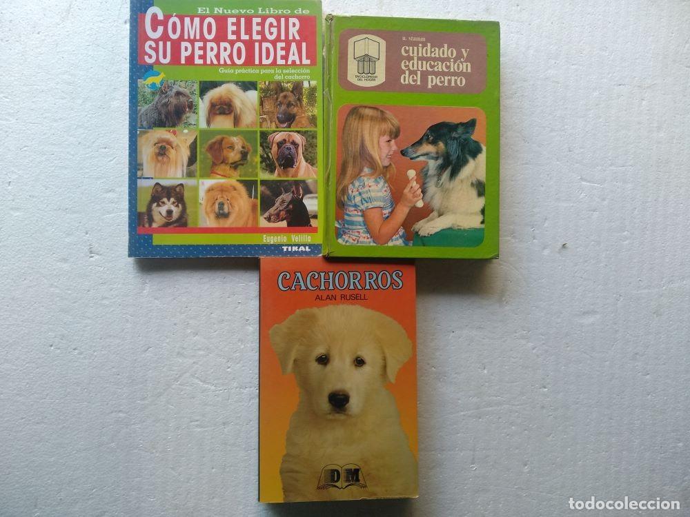Libros de segunda mano: lote 3 libros perros, COMO ELEGIR SU PERRO IDEAL, CUIDADO Y EDUCACION DEL PERRO, CACHORROS , e - Foto 1