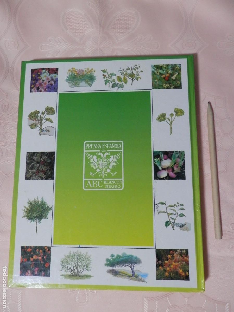 Libros de segunda mano: El libro de oro de las plantas y los jardines. ABC. 1995 - Foto 2