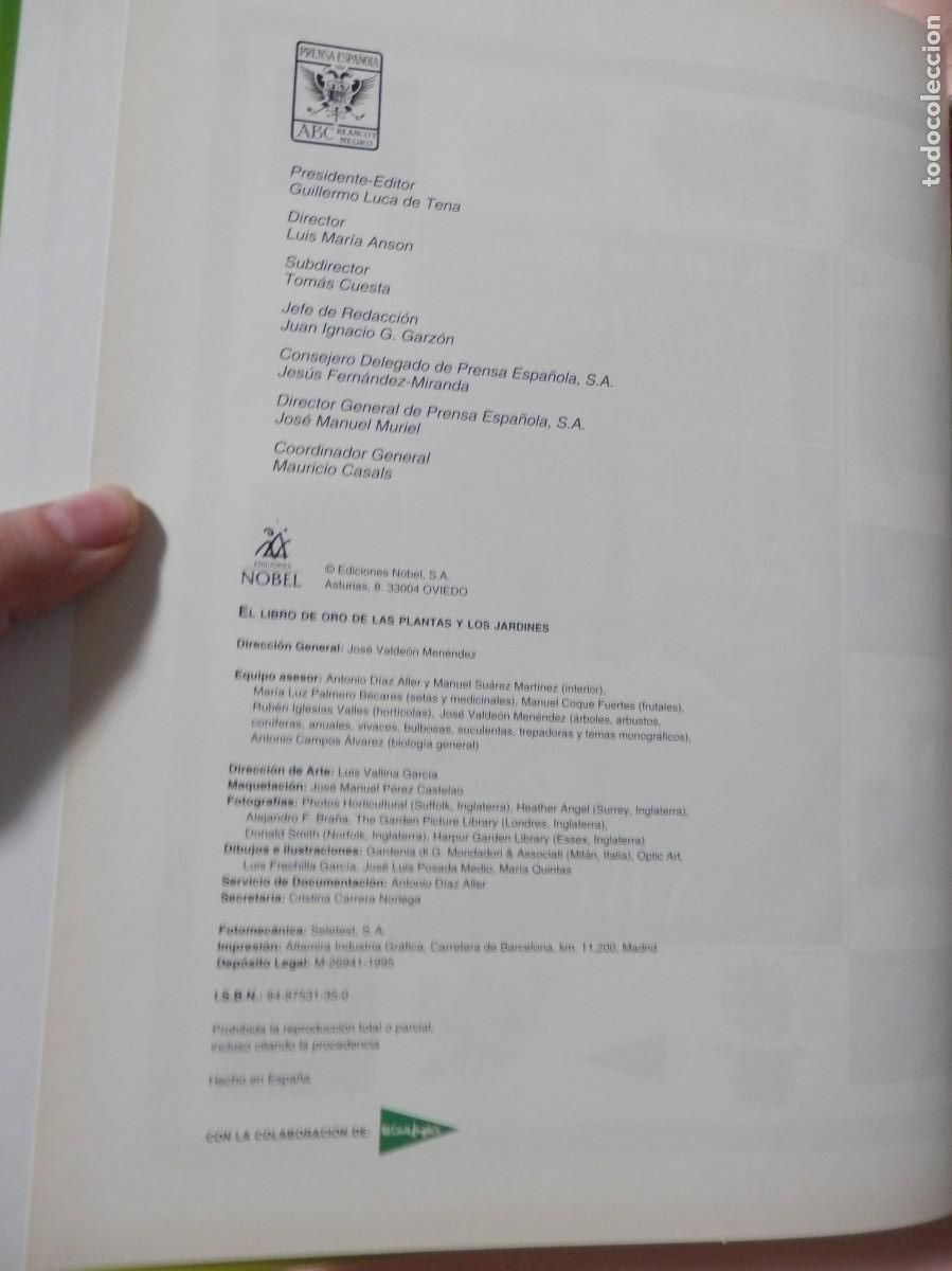 Libros de segunda mano: El libro de oro de las plantas y los jardines. ABC. 1995 - Foto 3