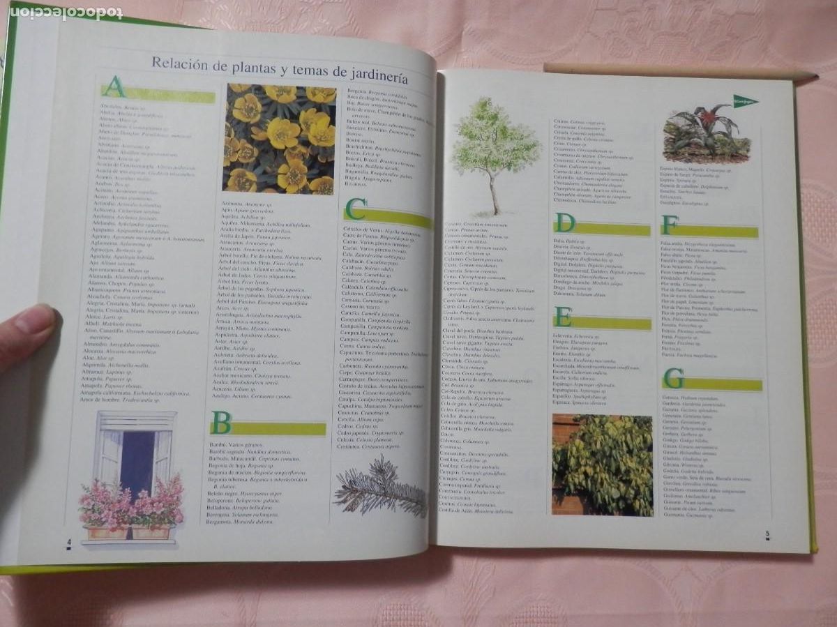 Libros de segunda mano: El libro de oro de las plantas y los jardines. ABC. 1995 - Foto 4