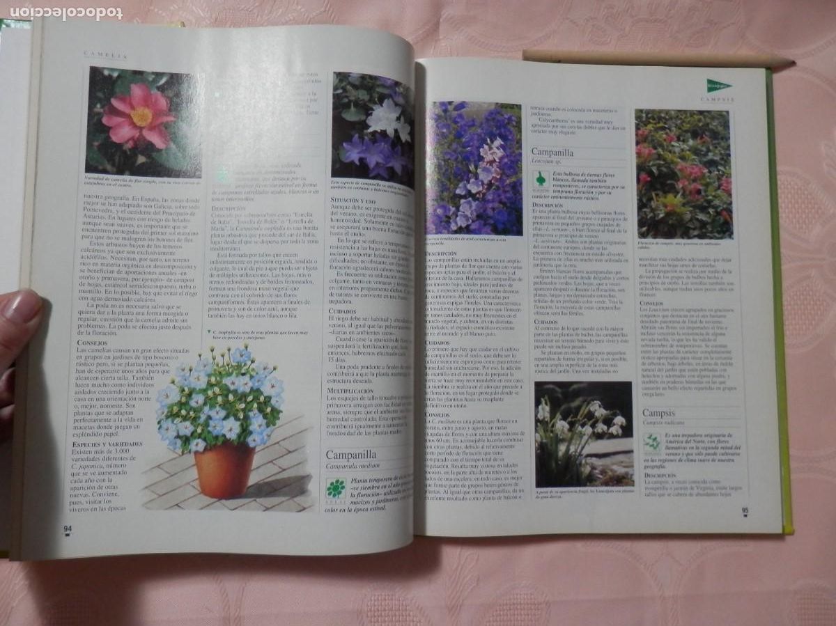 Libros de segunda mano: El libro de oro de las plantas y los jardines. ABC. 1995 - Foto 5