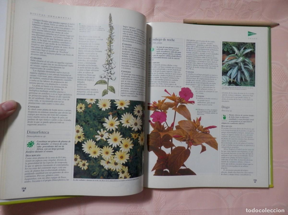 Libros de segunda mano: El libro de oro de las plantas y los jardines. ABC. 1995 - Foto 7