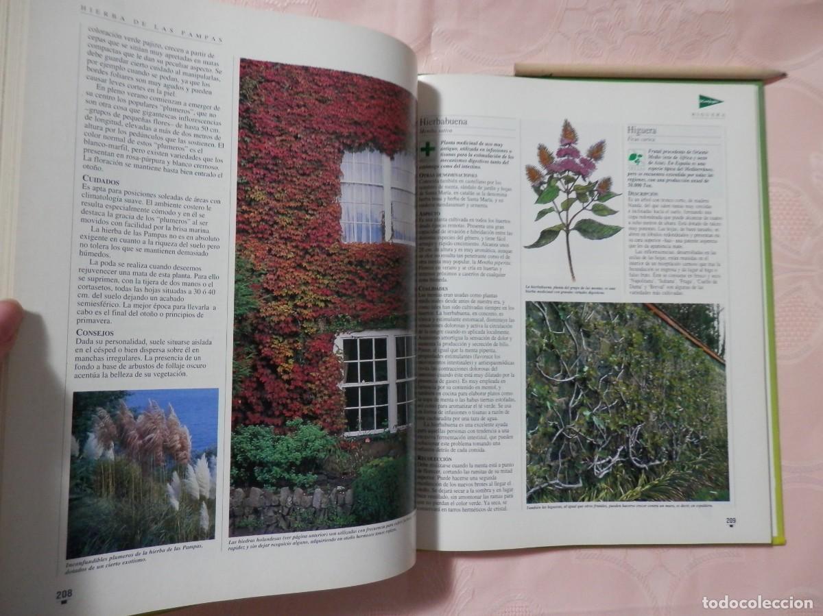 Libros de segunda mano: El libro de oro de las plantas y los jardines. ABC. 1995 - Foto 8