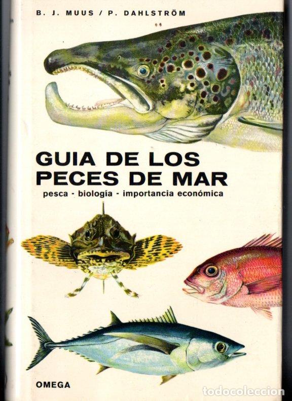 Libros de segunda mano: MUUS DAHLSTROM : GUIA DE LOS PECES DE MAR (OMEGA, 1977) - Foto 1