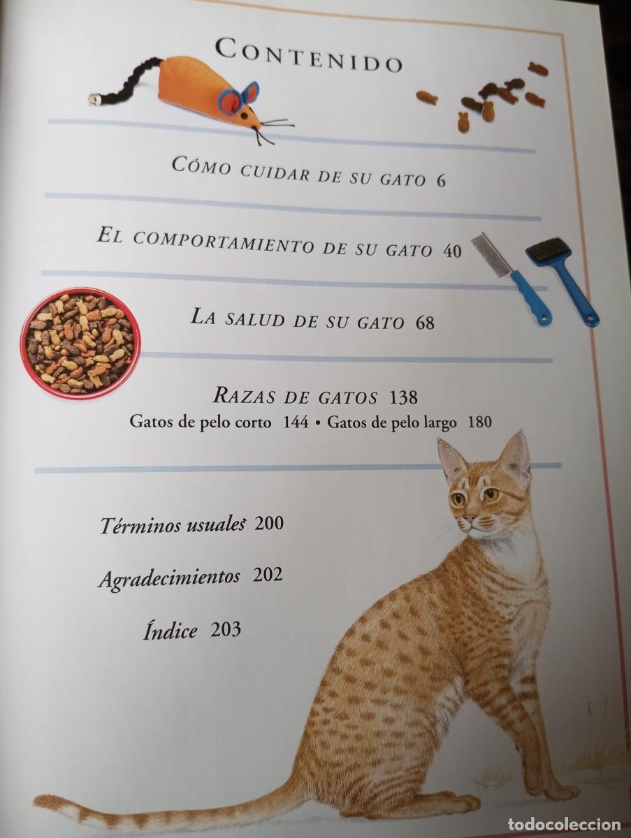 Libros de segunda mano: EL GATO, PREGUNTAS Y RESPUESTAS, EDITORIAL LIBSA, 2000 - Foto 4