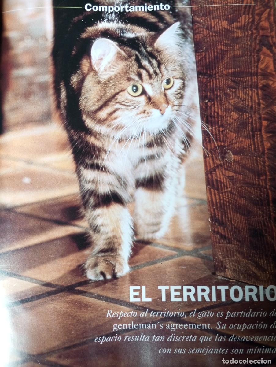 Libros de segunda mano: EL GATO, PLANETA DE AGOSTINI - Foto 3