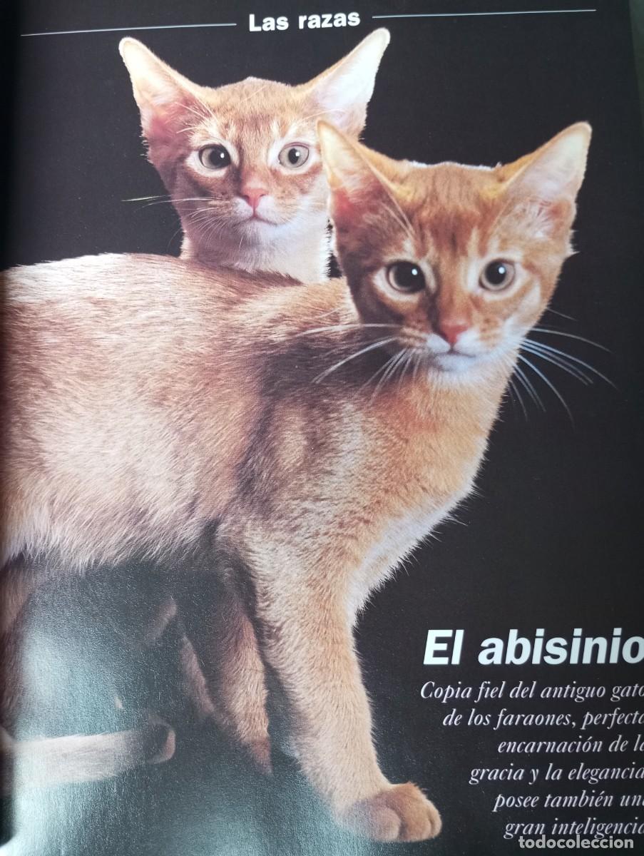 Libros de segunda mano: EL GATO, PLANETA DE AGOSTINI - Foto 4