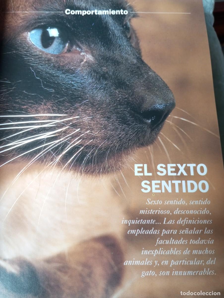 Libros de segunda mano: EL GATO, PLANETA DE AGOSTINI - Foto 5