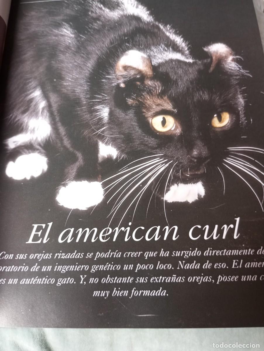 Libros de segunda mano: EL GATO, PLANETA DE AGOSTINI - Foto 6