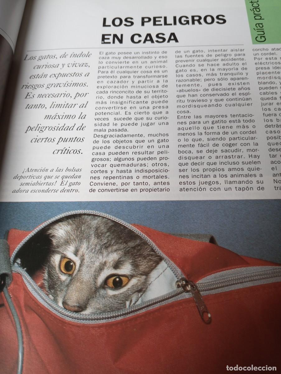 Libros de segunda mano: EL GATO, PLANETA DE AGOSTINI - Foto 7