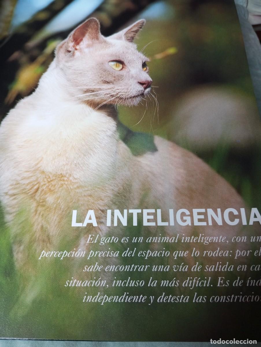 Libros de segunda mano: EL GATO, PLANETA DE AGOSTINI - Foto 8