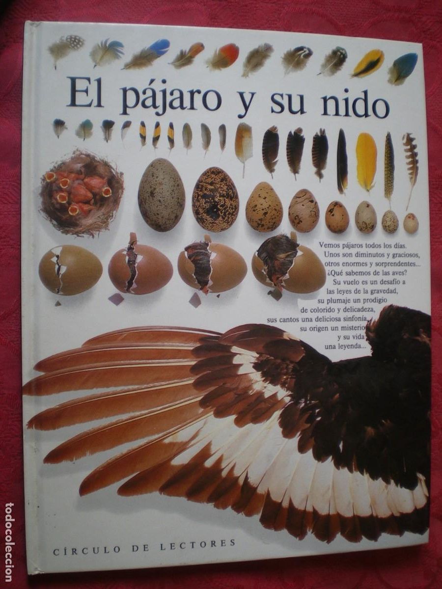 Libros de segunda mano: EL P&Aacute;JARO Y SU NIDO. BIBLIOTECA VISUAL ALTEA. C&Iacute;RCULO DE LECTORES. - Foto 1