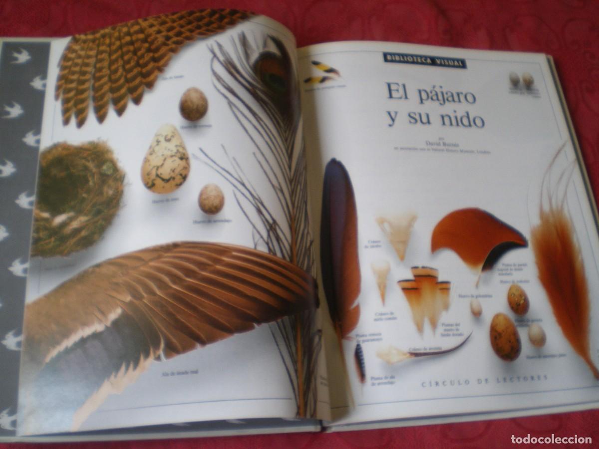 Libros de segunda mano: EL P&Aacute;JARO Y SU NIDO. BIBLIOTECA VISUAL ALTEA. C&Iacute;RCULO DE LECTORES. - Foto 3