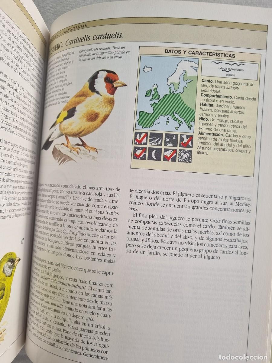 Libros de segunda mano: Aves cantoras - C&oacute;mo atraerlas e identificar su canto - Chris Harbard - Foto 4