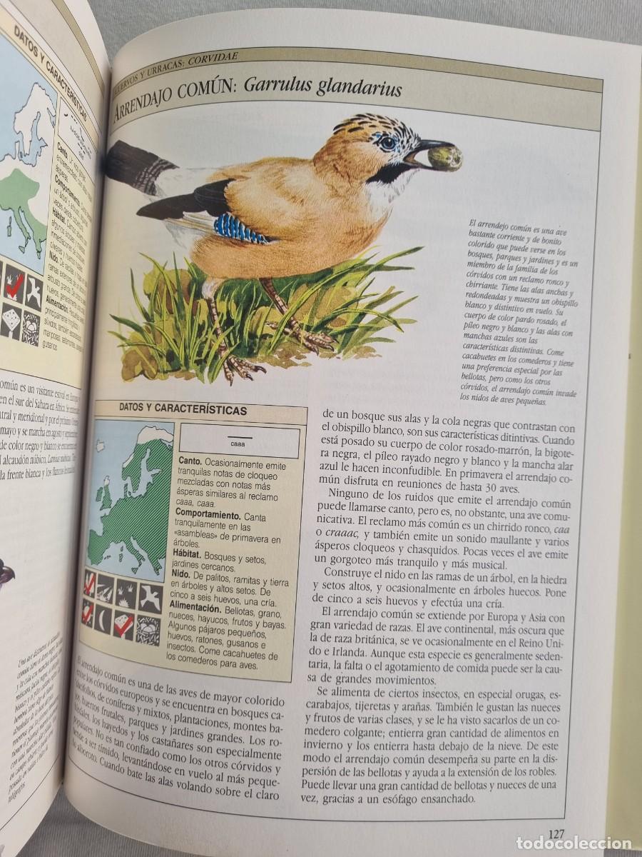 Libros de segunda mano: Aves cantoras - C&oacute;mo atraerlas e identificar su canto - Chris Harbard - Foto 5
