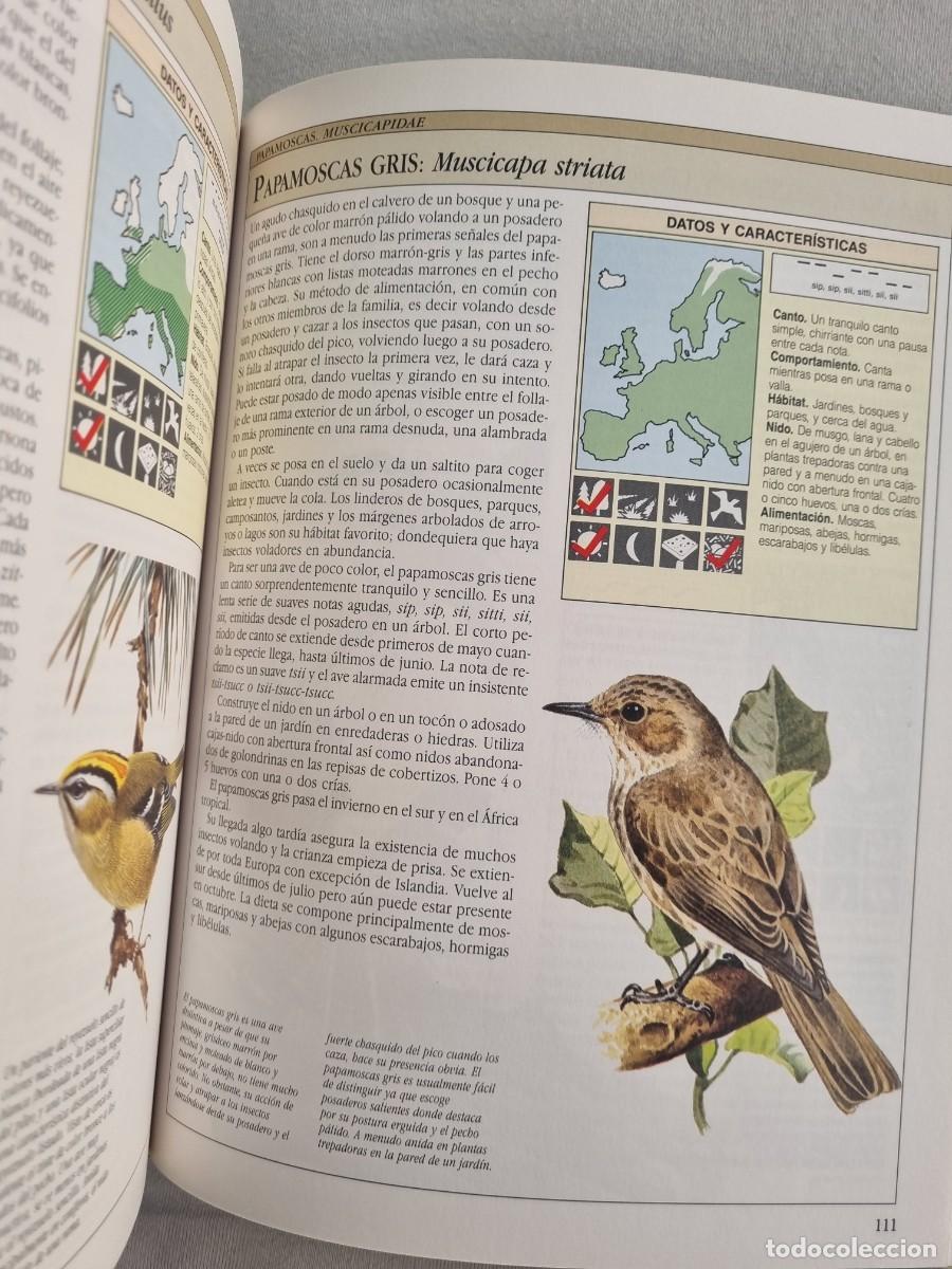 Libros de segunda mano: Aves cantoras - C&oacute;mo atraerlas e identificar su canto - Chris Harbard - Foto 6