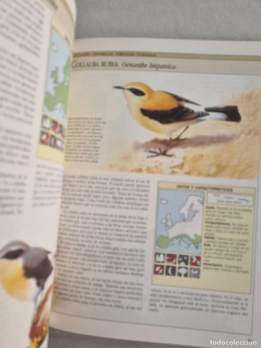 Libros de segunda mano: Aves cantoras - C&oacute;mo atraerlas e identificar su canto - Chris Harbard - Foto 7