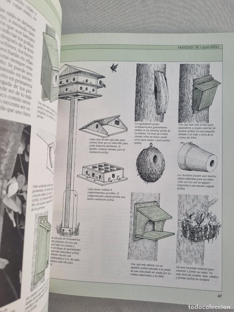 Libros de segunda mano: Aves cantoras - C&oacute;mo atraerlas e identificar su canto - Chris Harbard - Foto 8