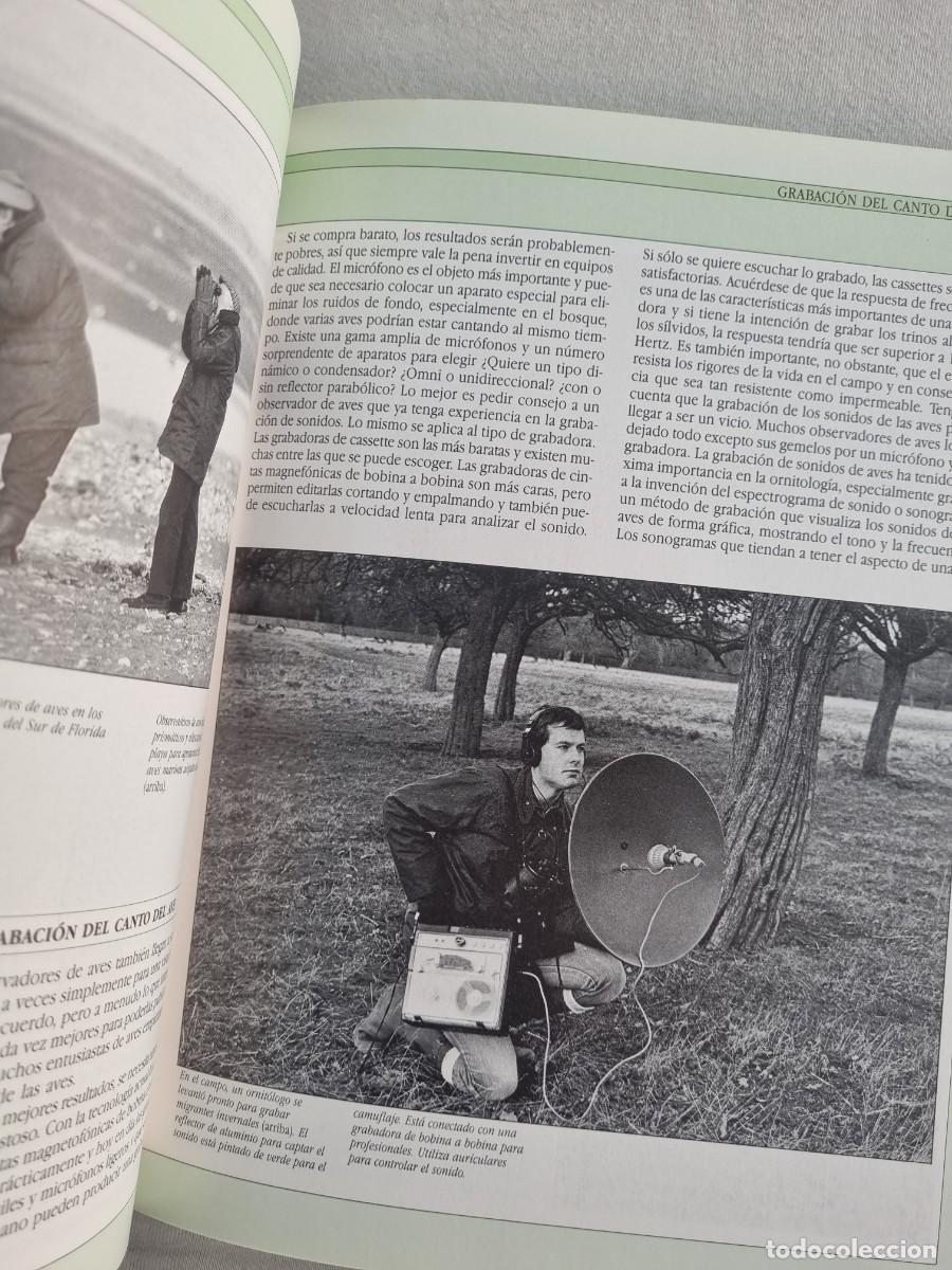 Libros de segunda mano: Aves cantoras - C&oacute;mo atraerlas e identificar su canto - Chris Harbard - Foto 9